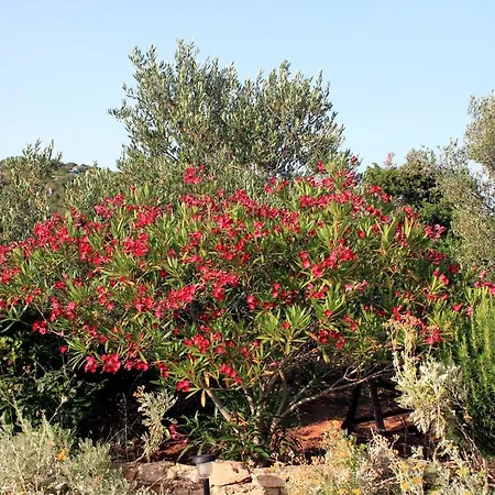 With Parking Space Zaglav, Dugi Otok - 878 Appartement Zaglav