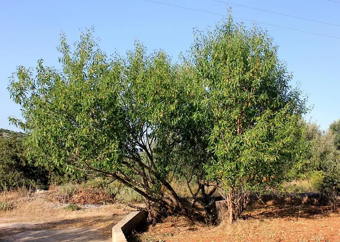 With Parking Space Zaglav, Dugi Otok - 878 *