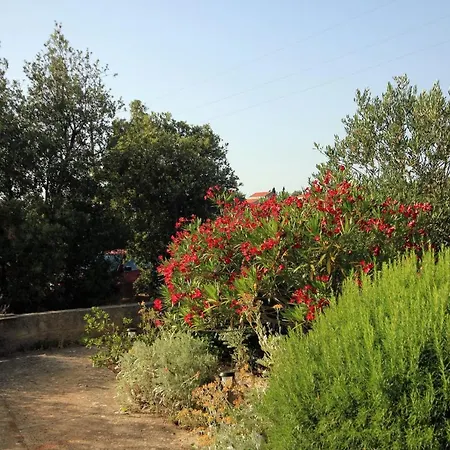 With Parking Space Zaglav, Dugi Otok - 878 Zaglav