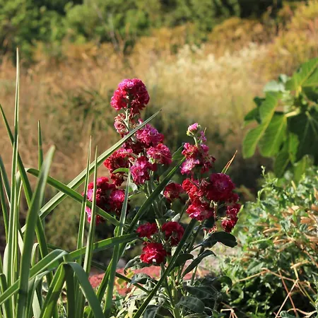 With Parking Space Zaglav, Dugi Otok - 878