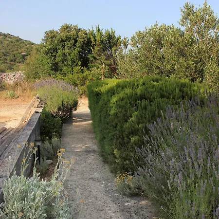 With Parking Space Zaglav, Dugi Otok - 878 *