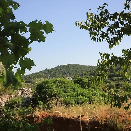 With Parking Space Zaglav, Dugi Otok - 878 Zaglav