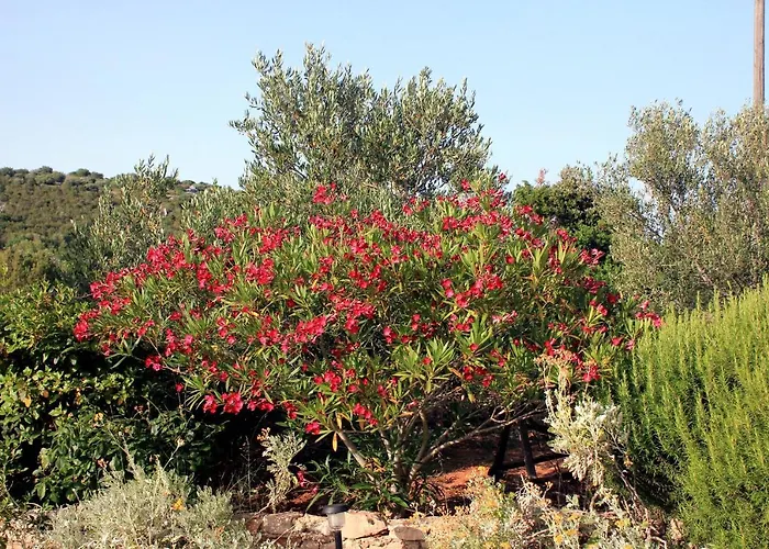 With Parking Space Zaglav, Dugi Otok - 878 Appartamento Zaglav