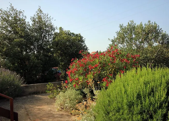 With Parking Space Zaglav, Dugi Otok - 878 Zaglav