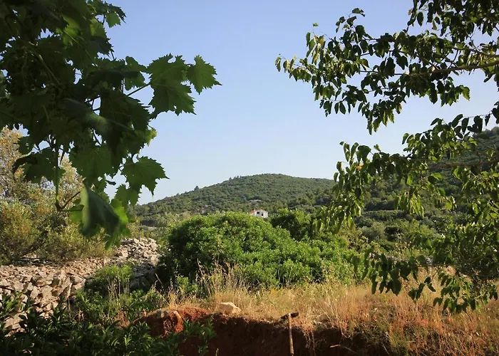 With Parking Space Zaglav, Dugi Otok - 878 Zaglav